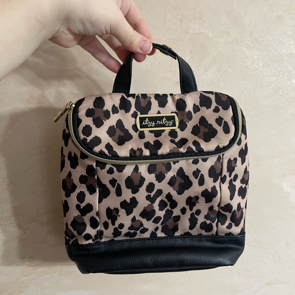 Itzy Ritzy bottle bag